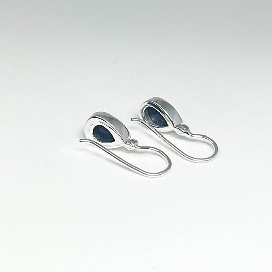 Sodalite Dangle Earrings - Rocks and Gems Canada
