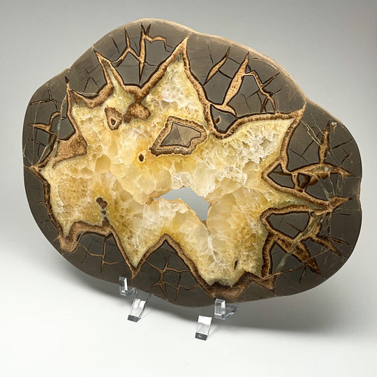 Septarian Slice