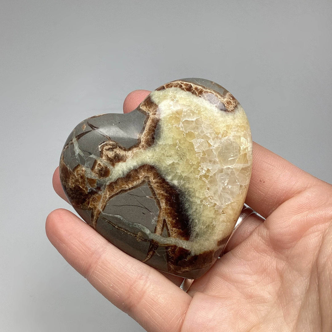 Septarian Heart - Rocks and Gems Canada