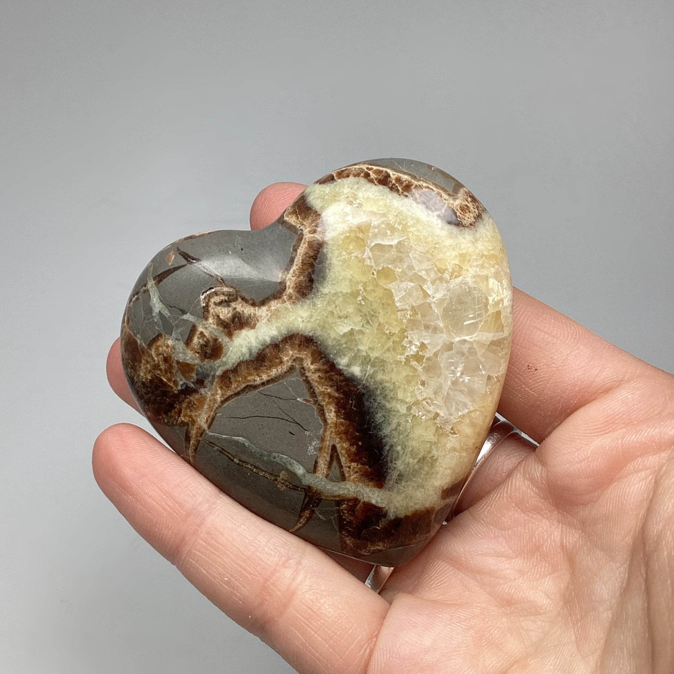 Septarian Heart - Rocks and Gems Canada