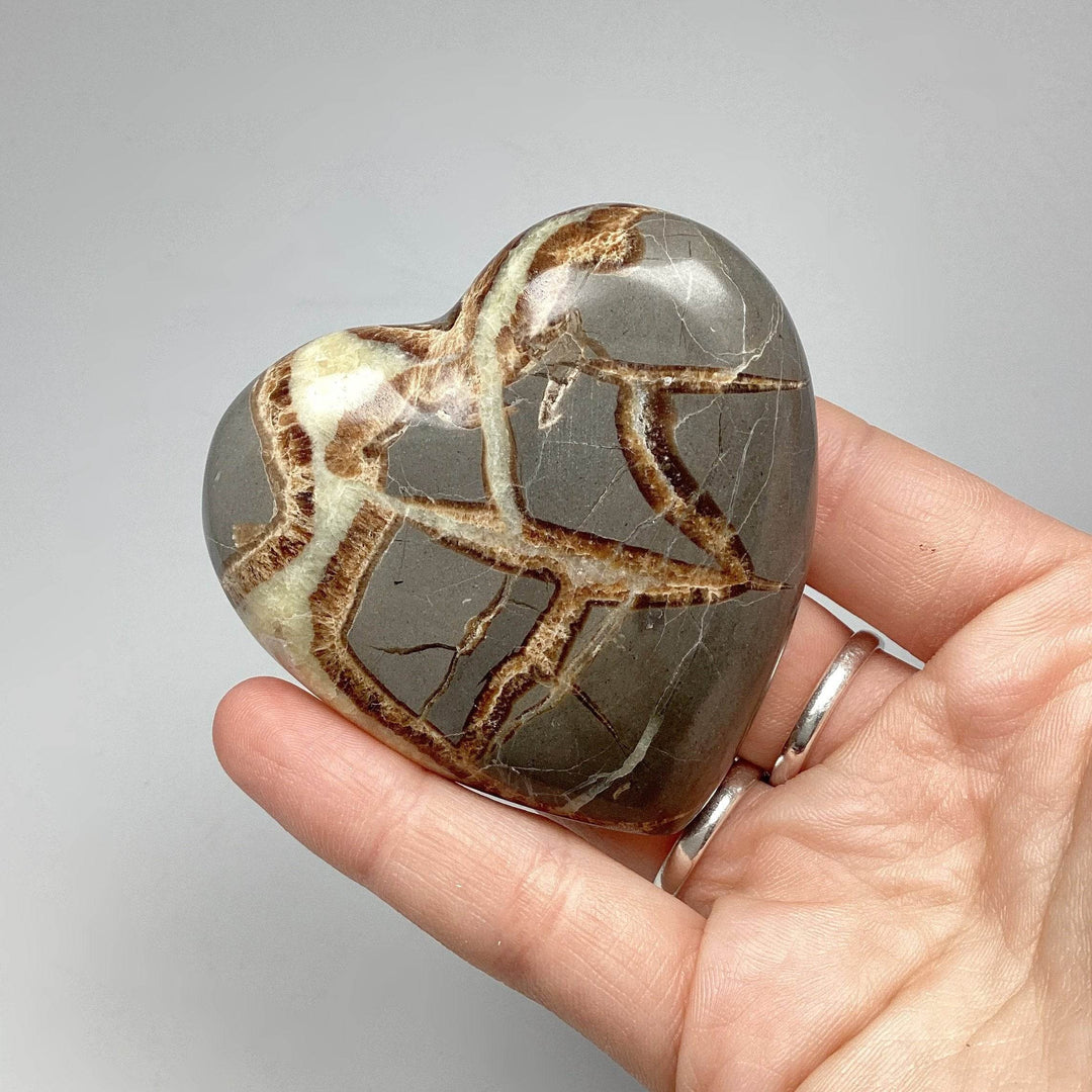 Septarian Heart - Rocks and Gems Canada