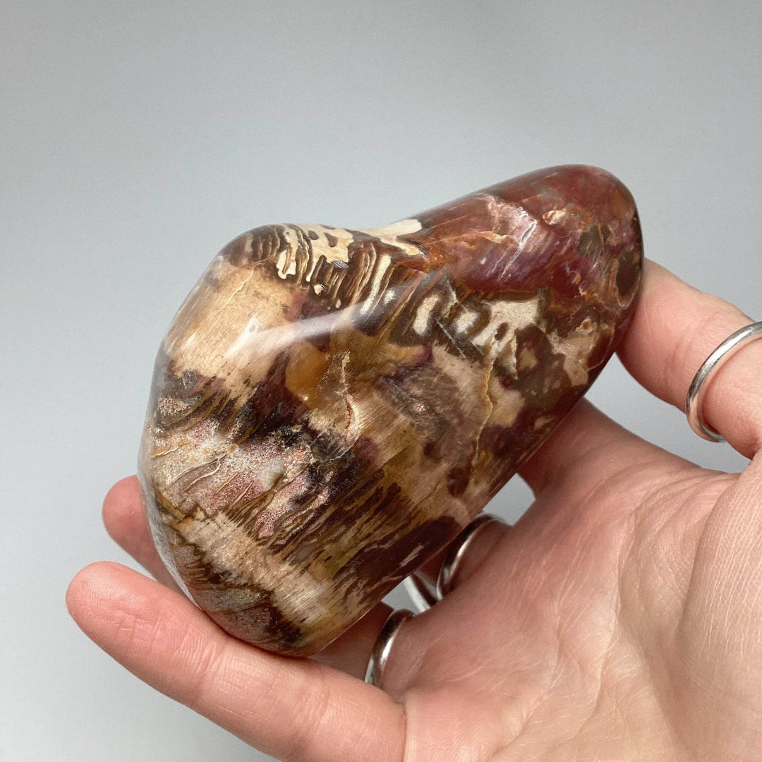 Araucaria Petrified Wood Polished Chunk - Rocks and Gems Canada