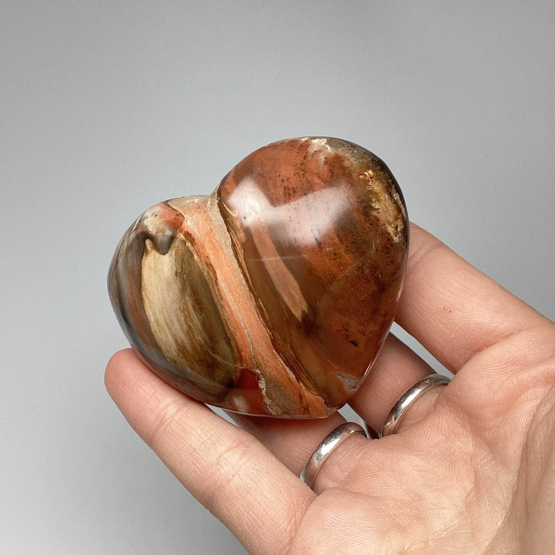 Petrified Wood Heart - Rocks and Gems Canada