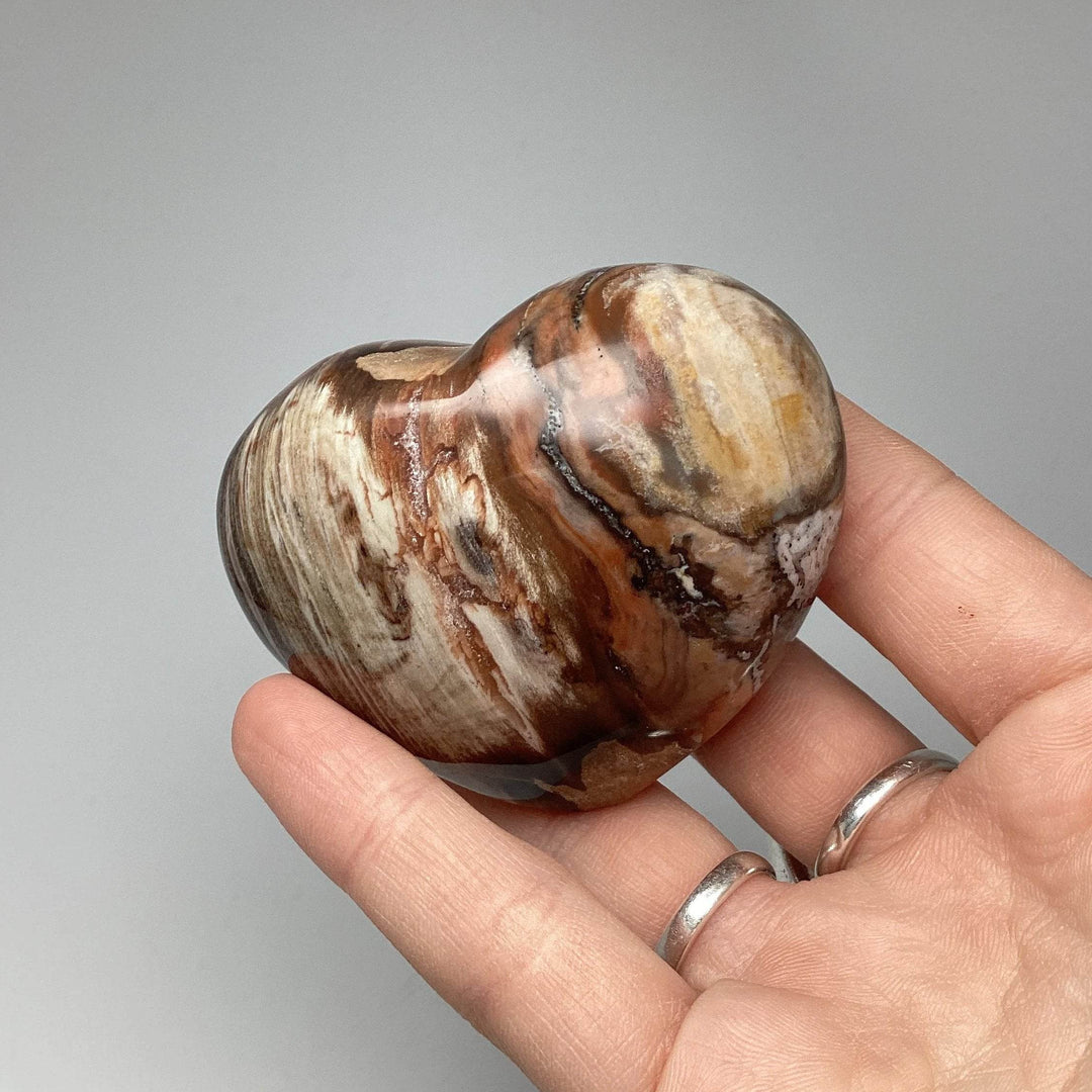 Petrified Wood Heart - Rocks and Gems Canada