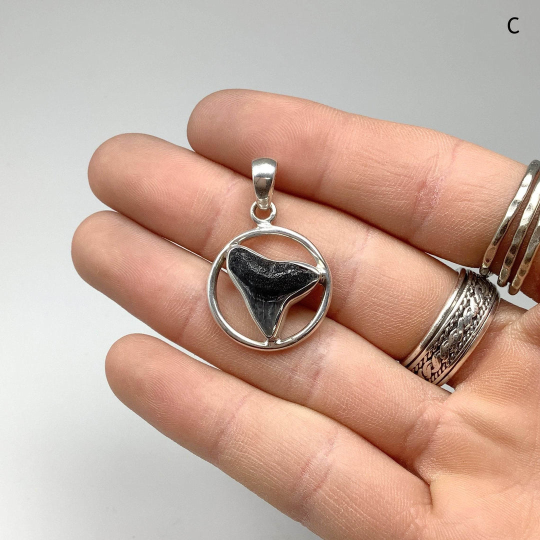 Fossilized Shark Tooth Pendant - Rocks and Gems Canada