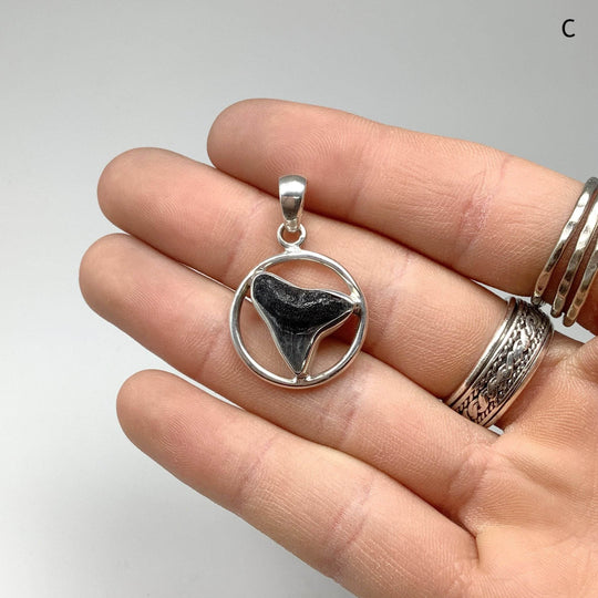 Fossilized Shark Tooth Pendant - Rocks and Gems Canada