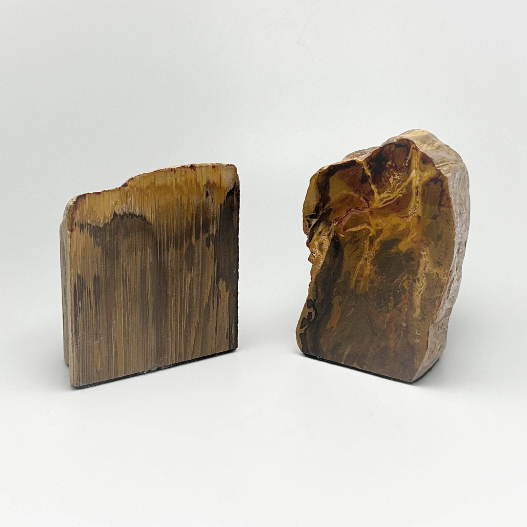 Petrified Wood Stand Up - Rocks and Gems Canada