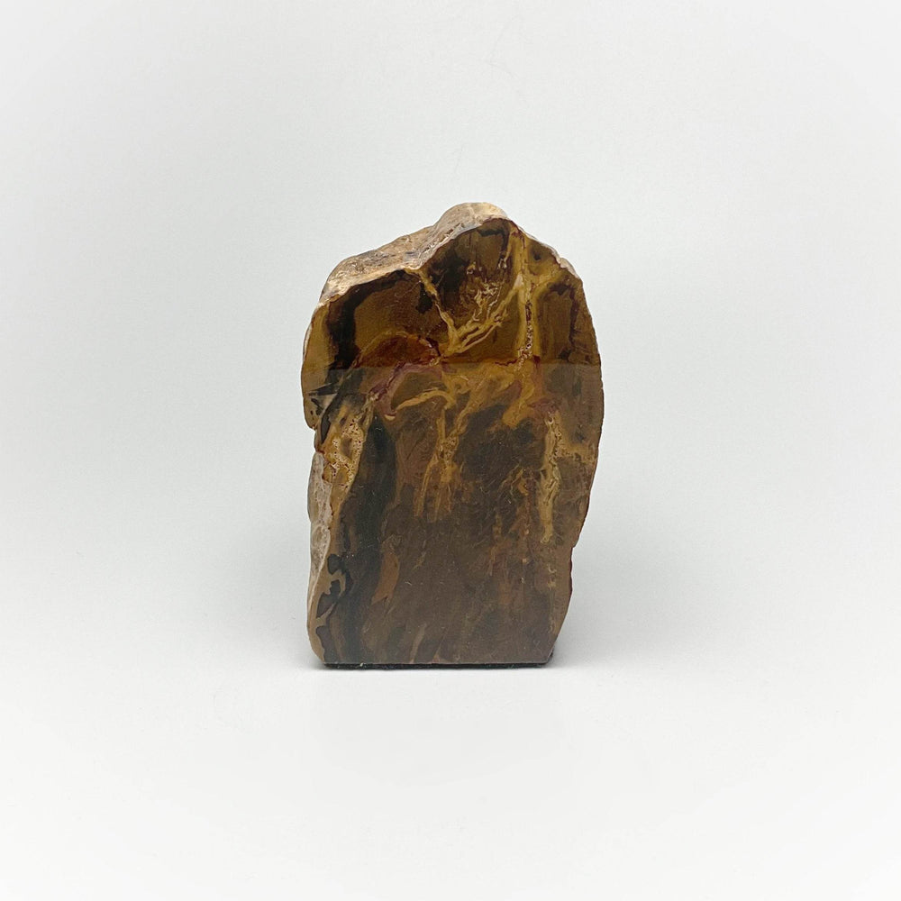 Petrified Wood Stand Up - Rocks and Gems Canada