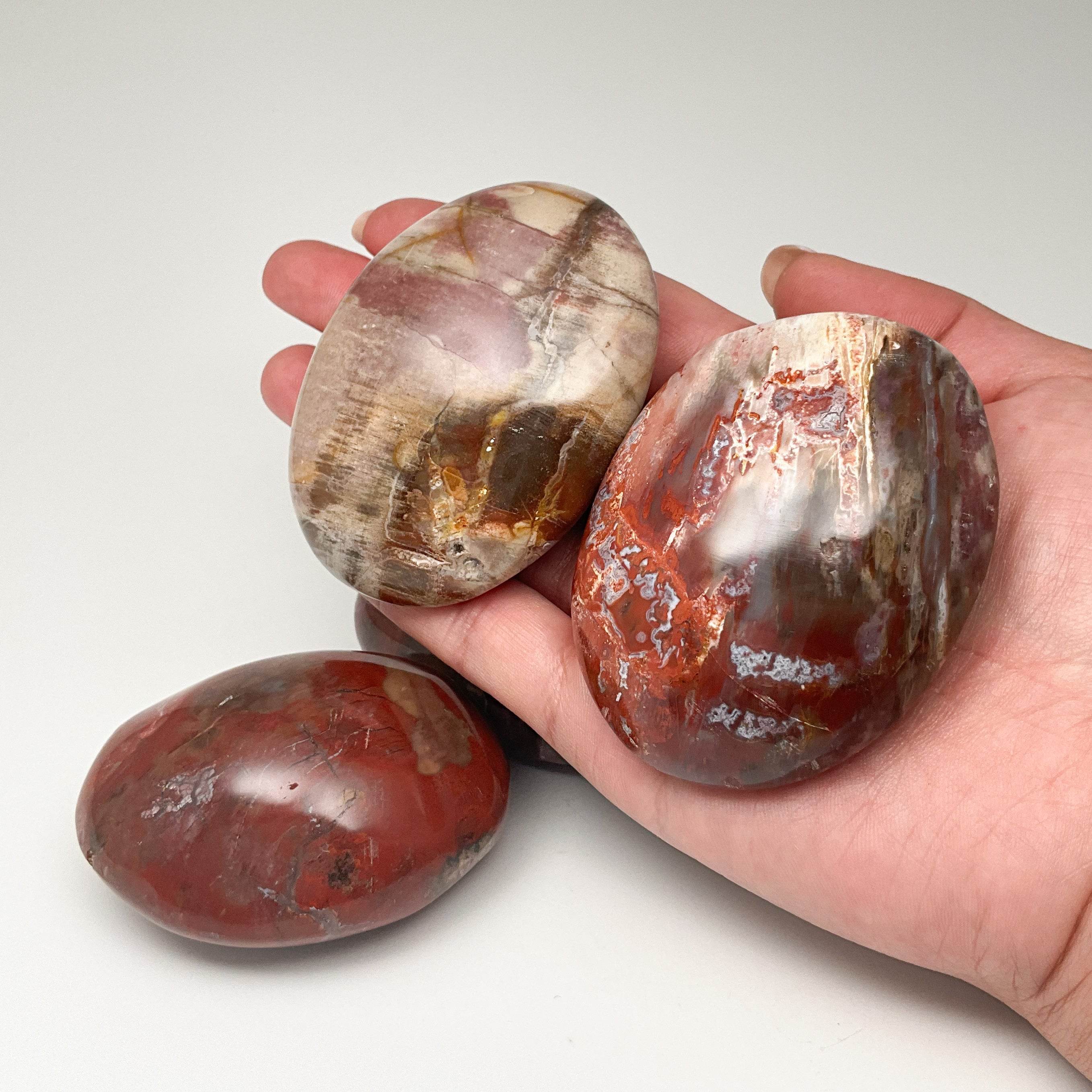 Petrified Wood Tumble - Rocks and Gems Canada