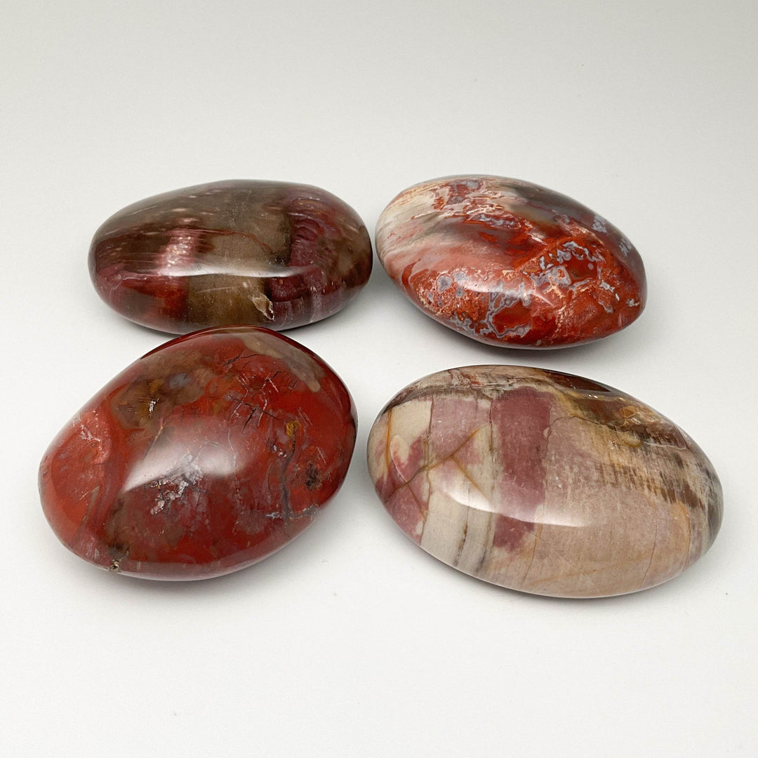 Petrified Wood Tumble - Rocks and Gems Canada