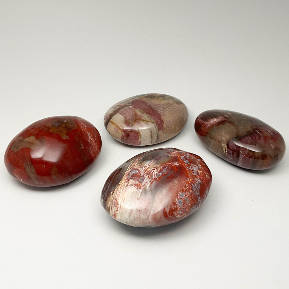 Petrified Wood Tumble - Rocks and Gems Canada
