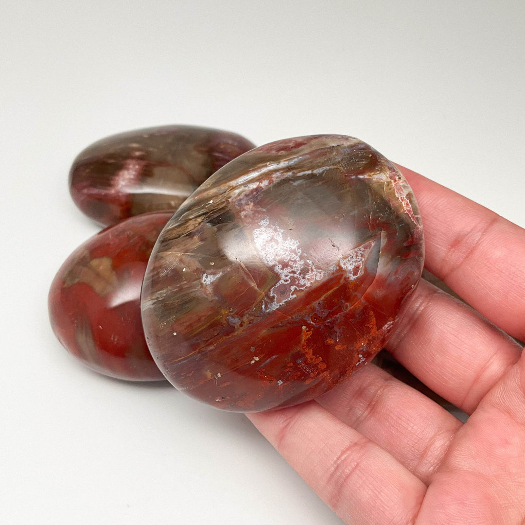 Petrified Wood Tumble - Rocks and Gems Canada