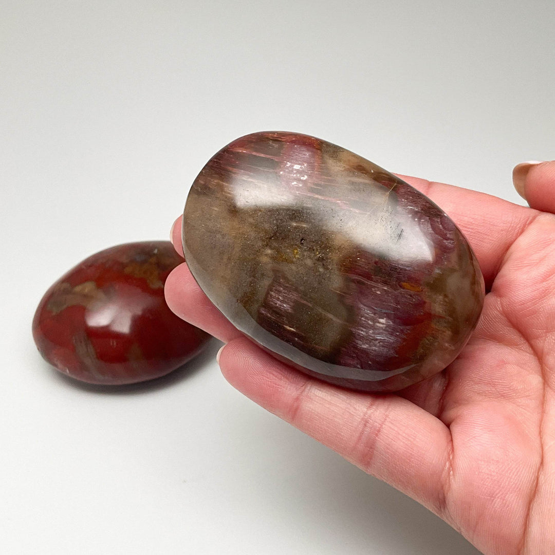 Petrified Wood Tumble - Rocks and Gems Canada