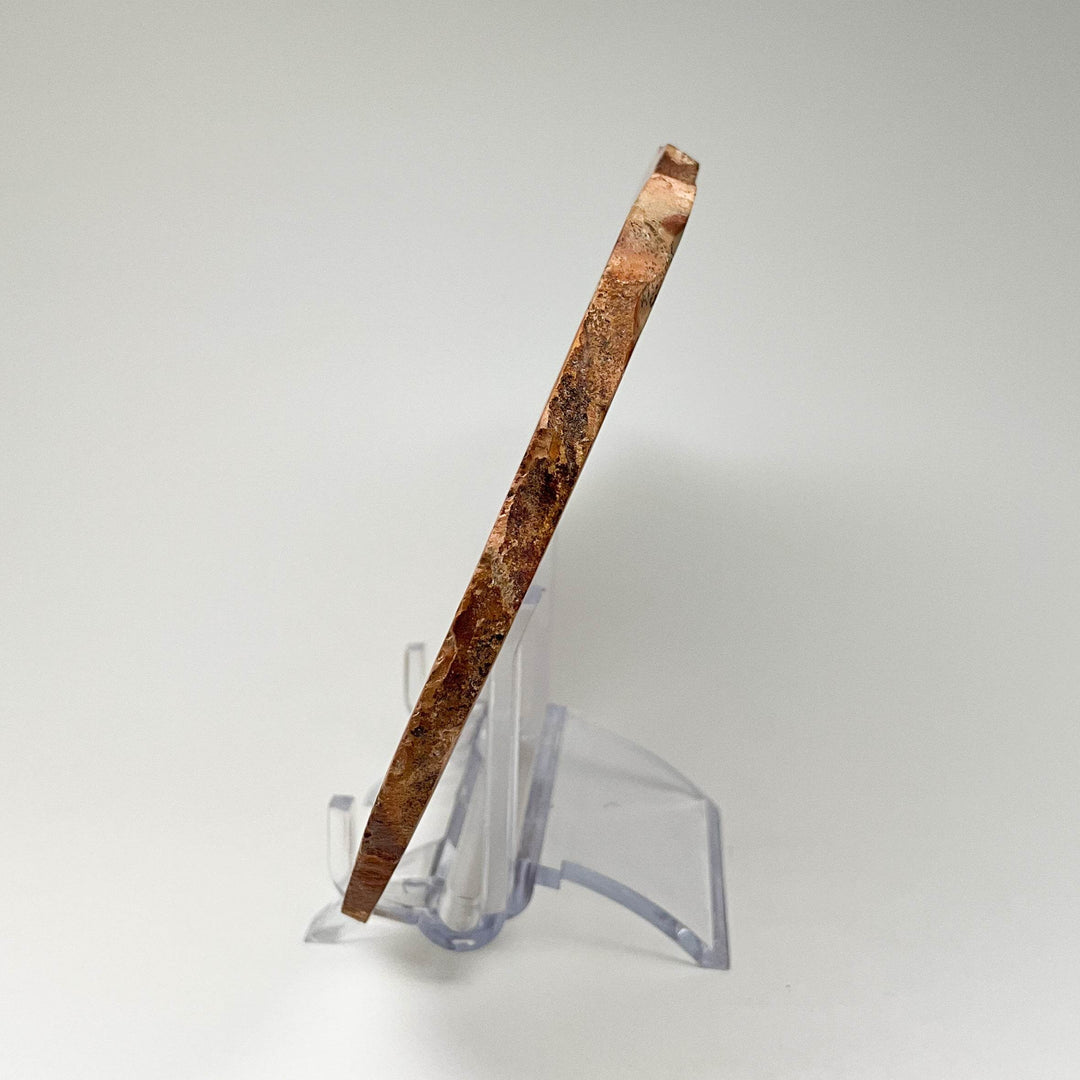 Polychrome Jasper Slice - Rocks and Gems Canada