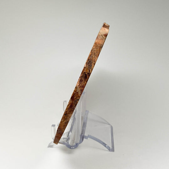 Polychrome Jasper Slice - Rocks and Gems Canada