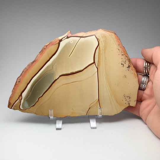 Polychrome Jasper Slice - Rocks and Gems Canada