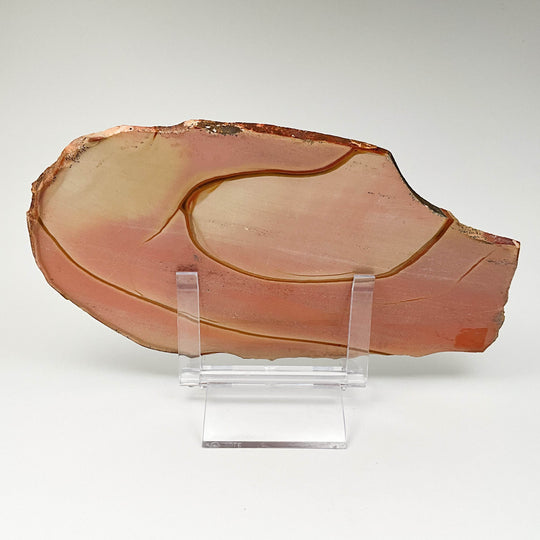 Polychrome Jasper Slice - Rocks and Gems Canada