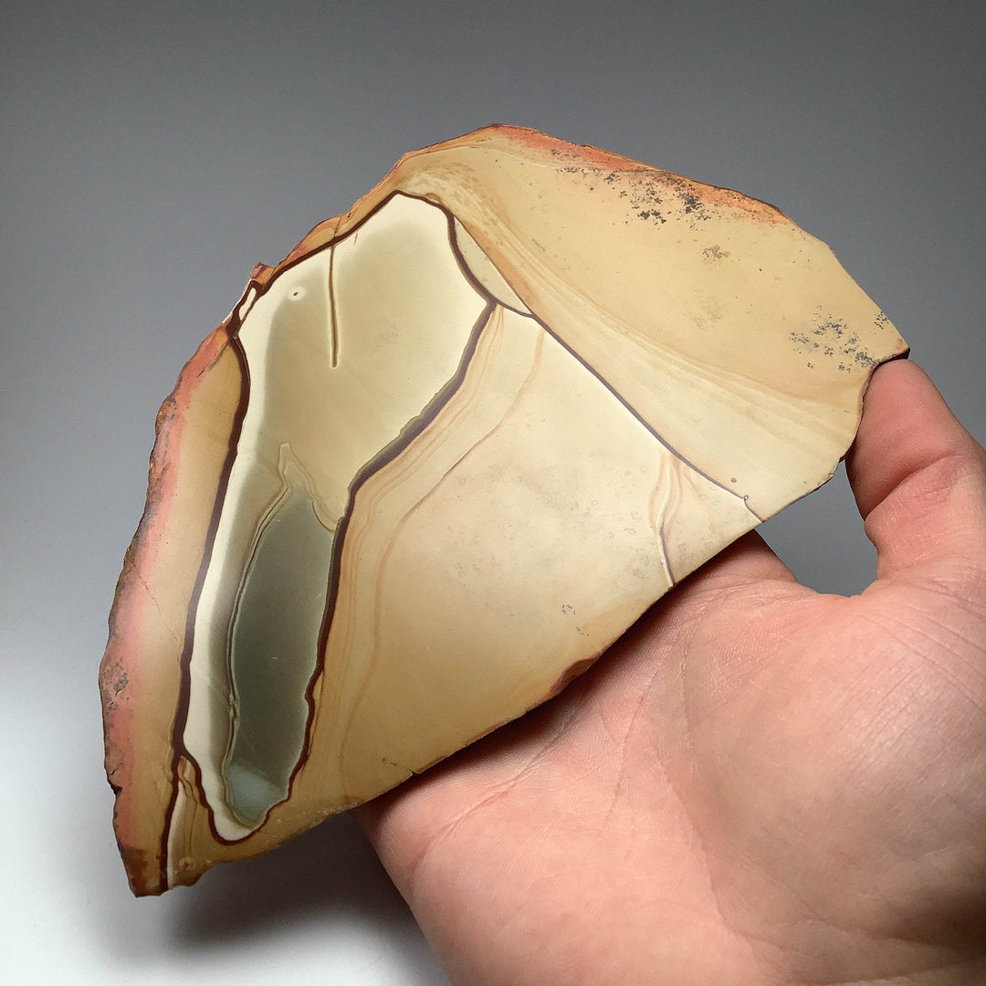 Polychrome Jasper Slice - Rocks and Gems Canada