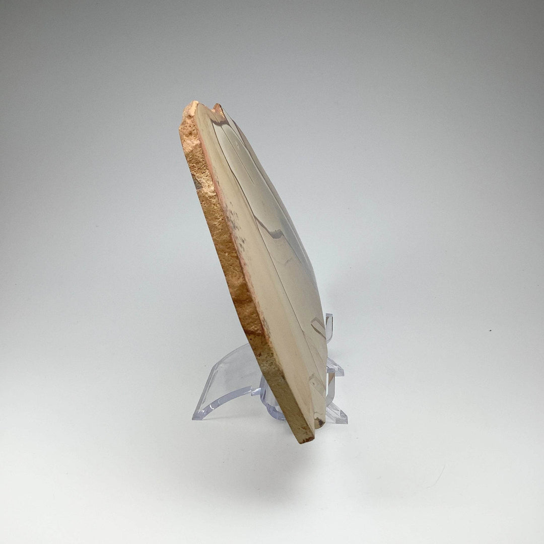 Polychrome Jasper Slice - Rocks and Gems Canada