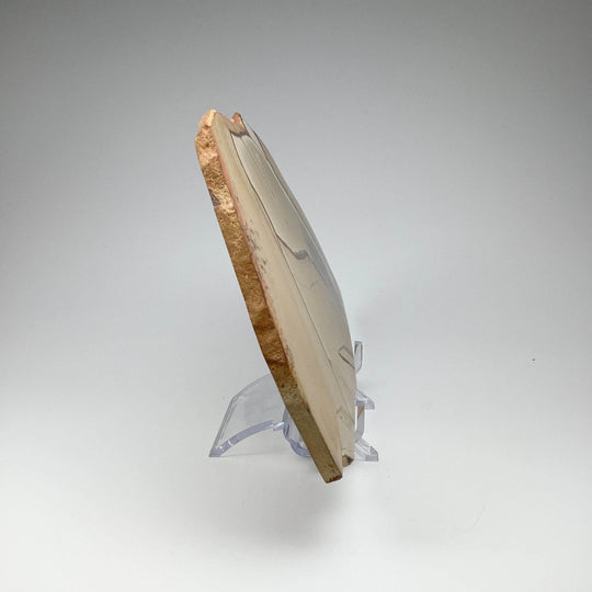 Polychrome Jasper Slice - Rocks and Gems Canada