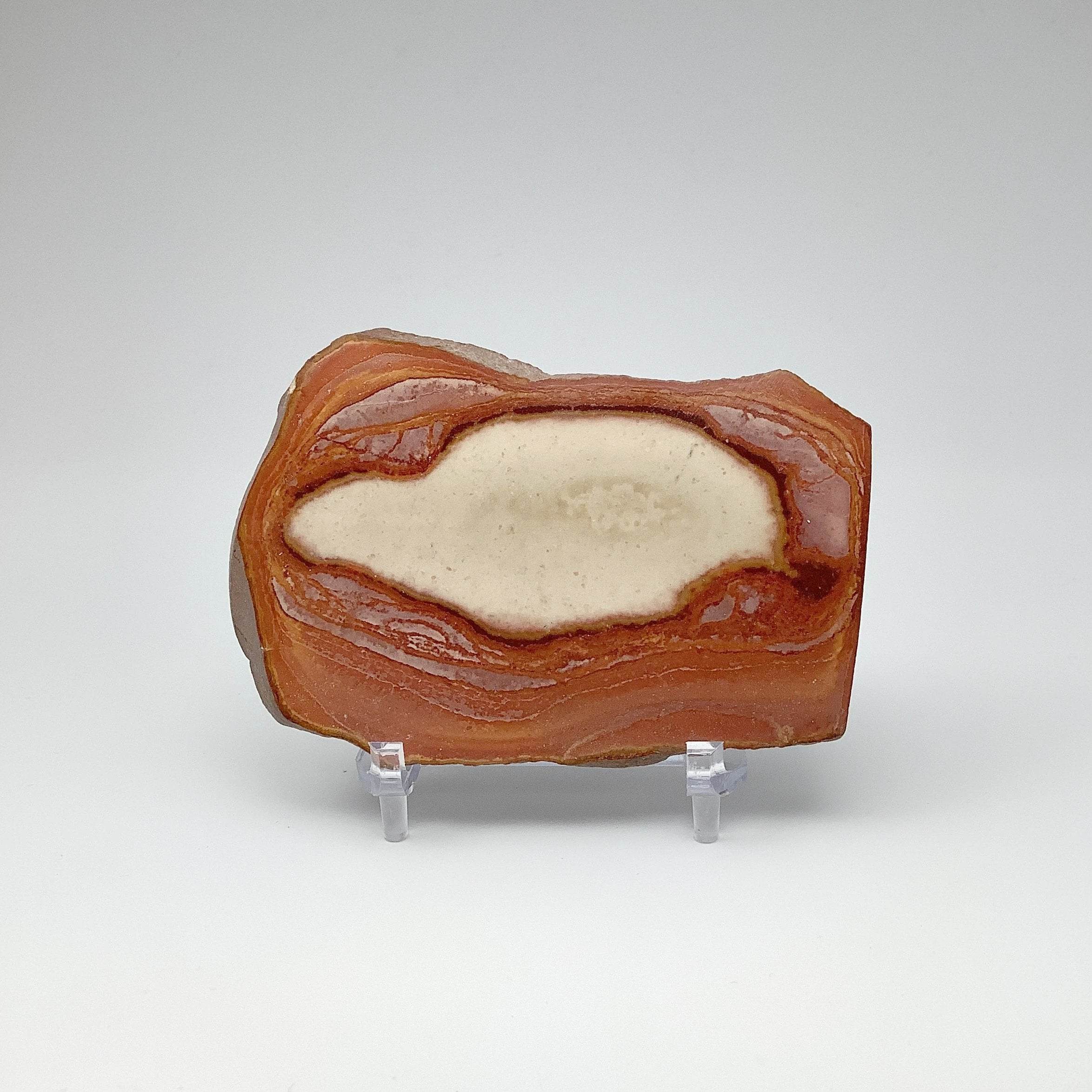 Polychrome Jasper Slice - Rocks and Gems Canada