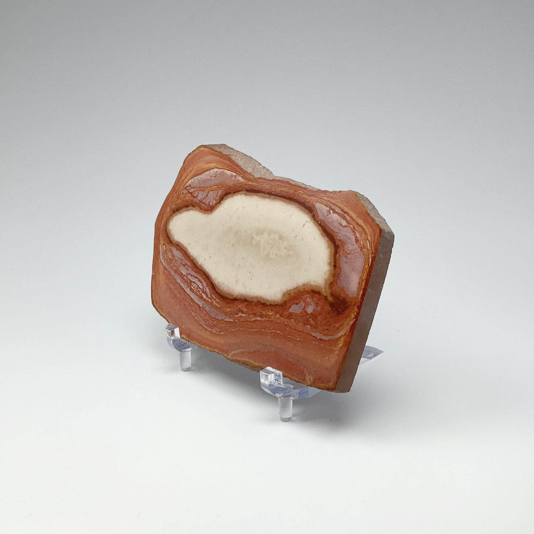 Polychrome Jasper Slice - Rocks and Gems Canada