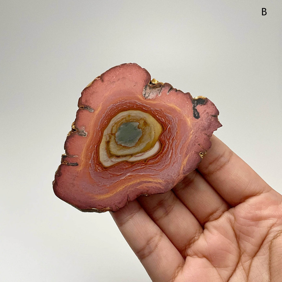Polychrome Jasper Slice - Rocks and Gems Canada