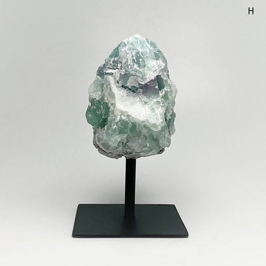 Rough Fluorite on Metal Display Stand - Rocks and Gems Canada