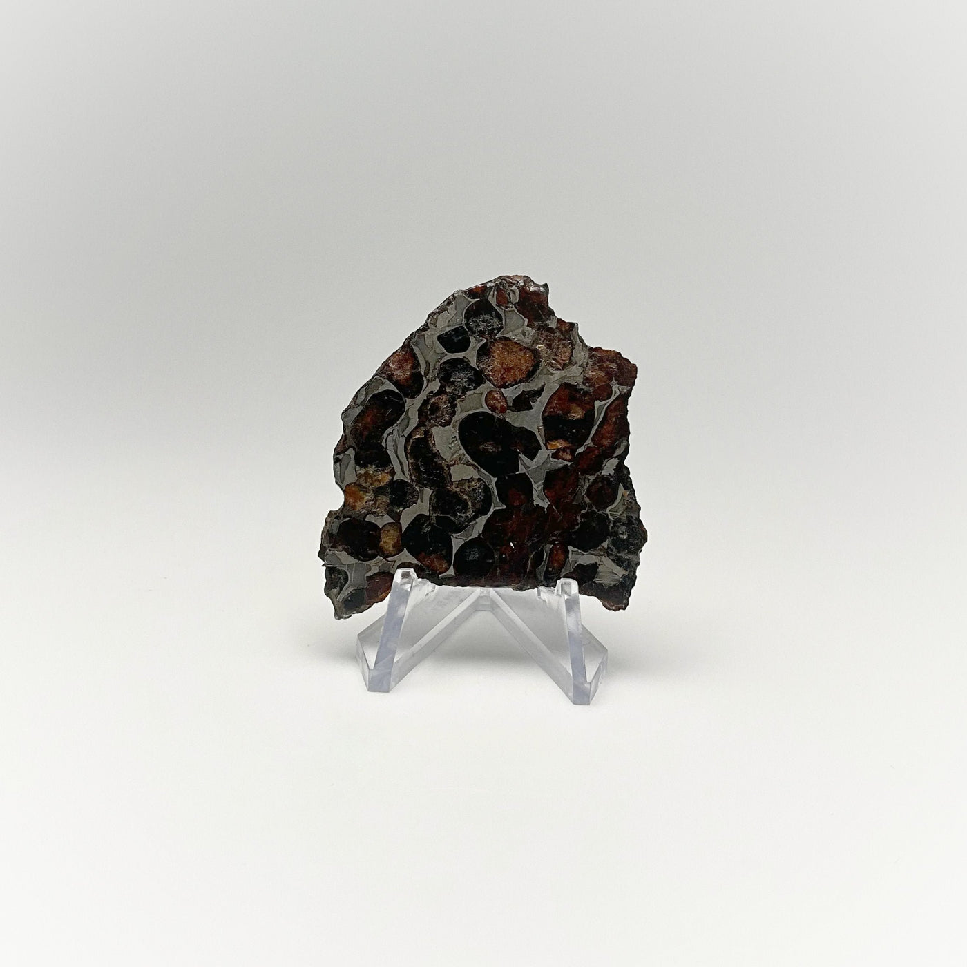 Sericho Meteorite Slice