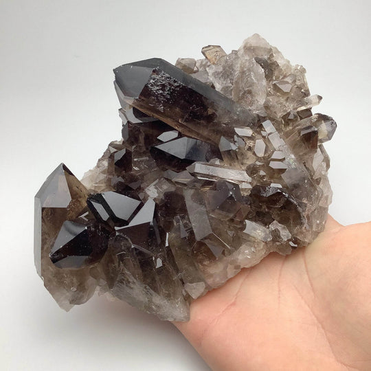 Smoky Quartz Cluster - Rocks and Gems Canada