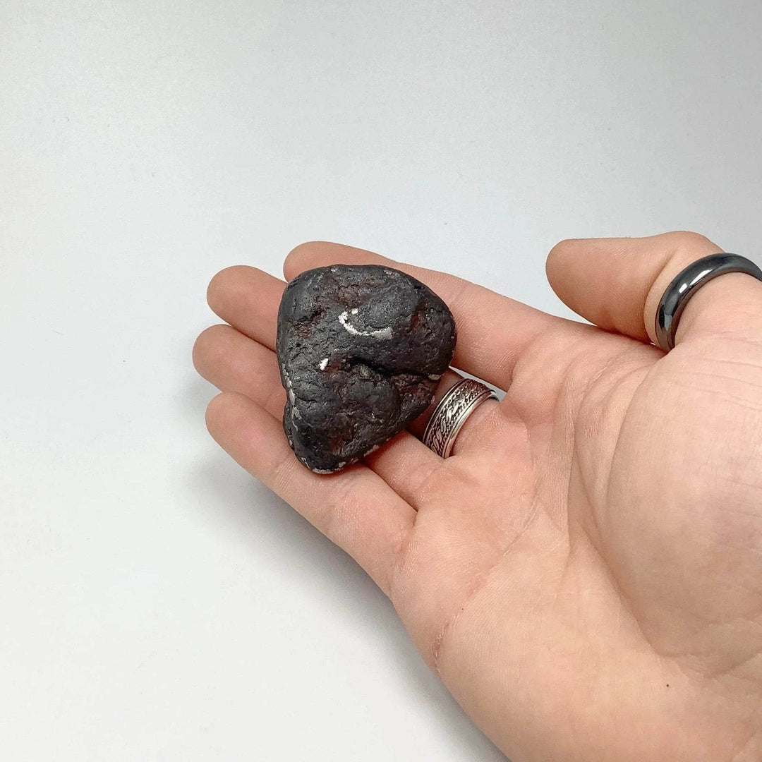 Uruacu Meteorite - Rocks and Gems Canada