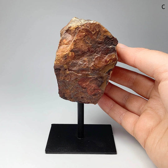 Rough Tiger Eye on Display Stand - Rocks and Gems Canada