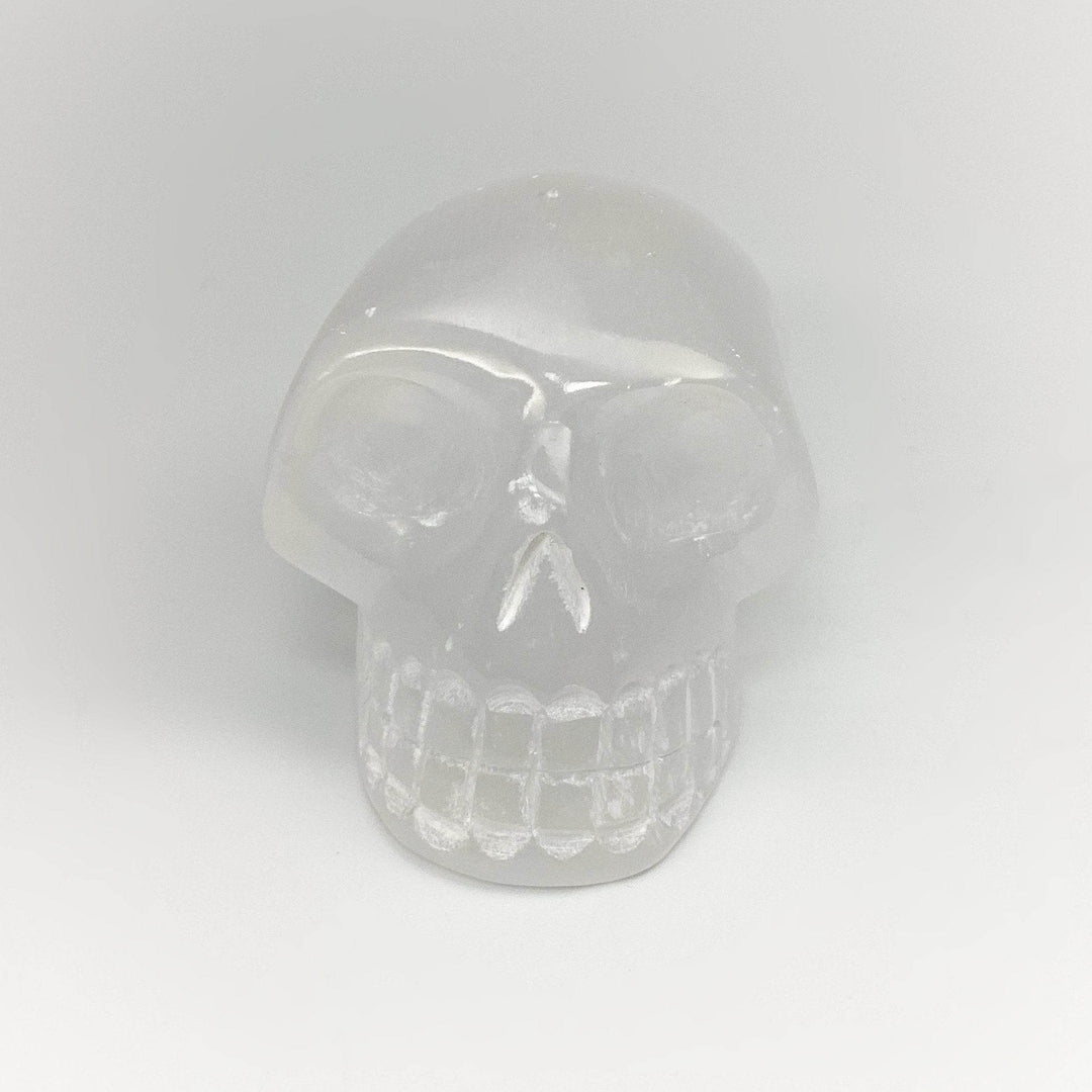 Carved Selenite Skull - Rocks and Gems Canada