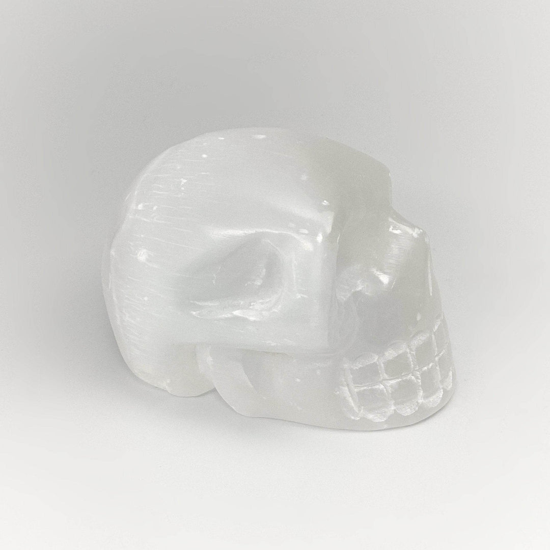 Carved Selenite Skull - Rocks and Gems Canada