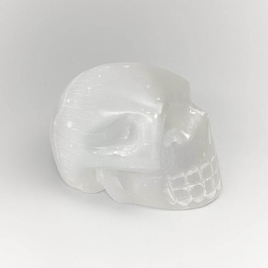 Carved Selenite Skull - Rocks and Gems Canada