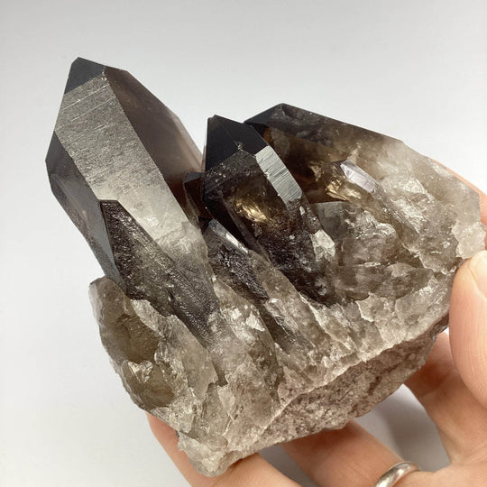 Smoky Quartz Cluster - Rocks and Gems Canada