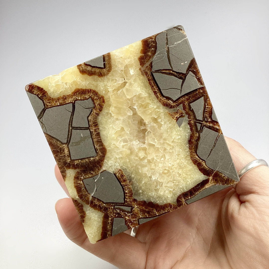 Septarian Cube - Rocks and Gems Canada
