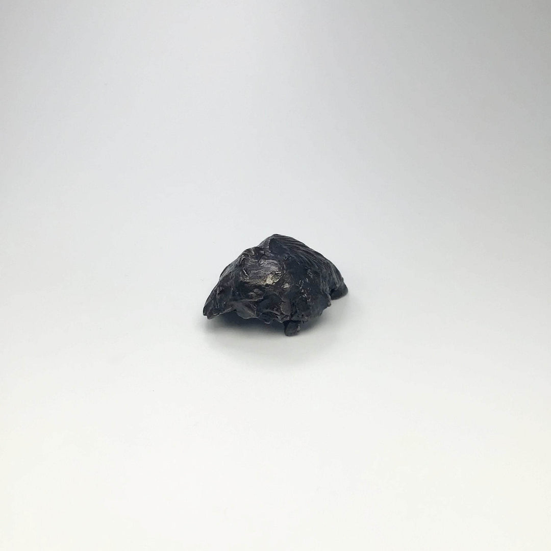 Sikhote-Alin Shrapnel Meteorite - Rocks and Gems Canada