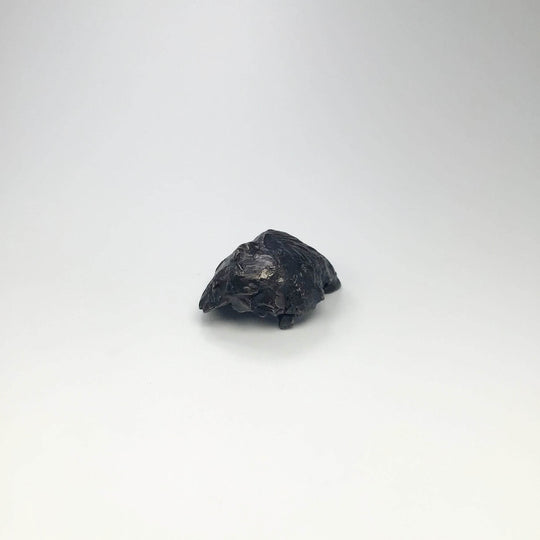 Sikhote-Alin Shrapnel Meteorite - Rocks and Gems Canada