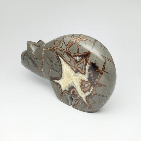 Septarian Bear Carving - Rocks and Gems Canada