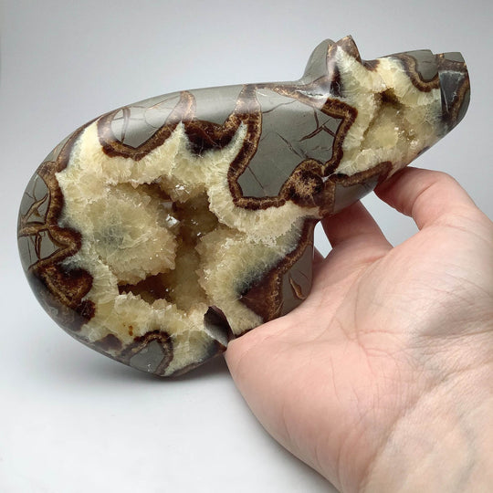 Septarian Bear Carving - Rocks and Gems Canada