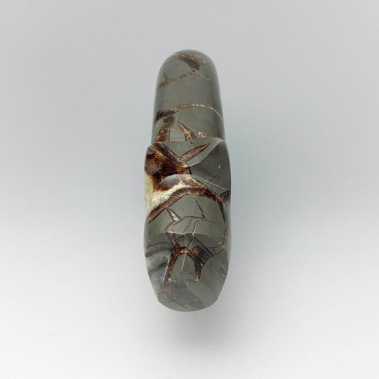 Septarian Bear Carving - Rocks and Gems Canada