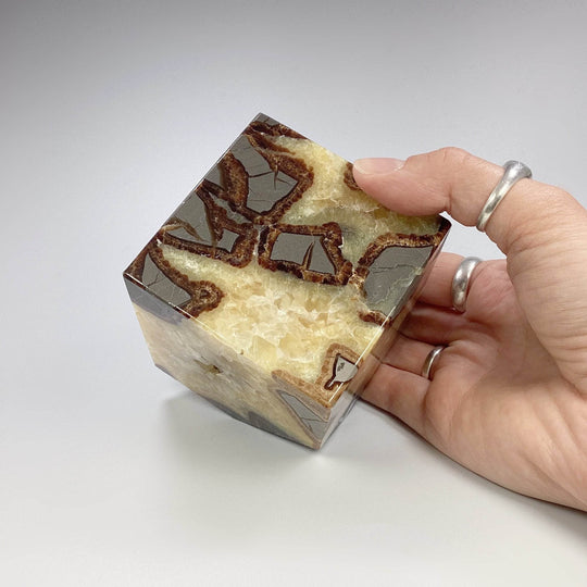 Septarian Cube - Rocks and Gems Canada