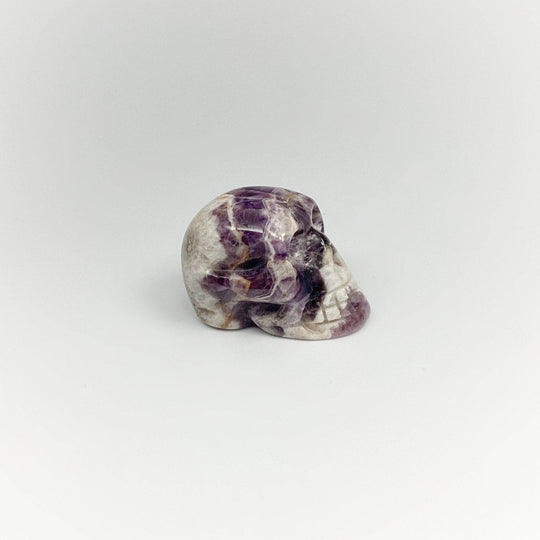Carved Chevron Amethyst Skull - Rocks and Gems Canada