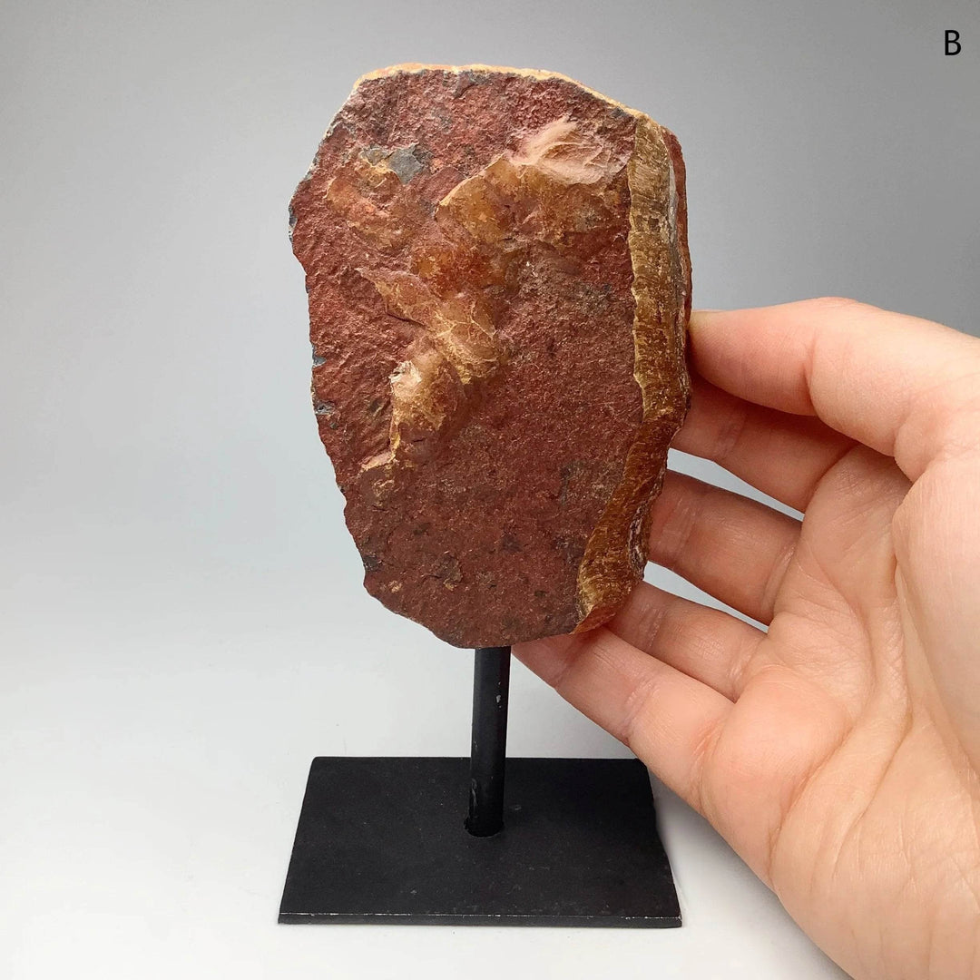 Rough Tiger Eye on Display Stand - Rocks and Gems Canada