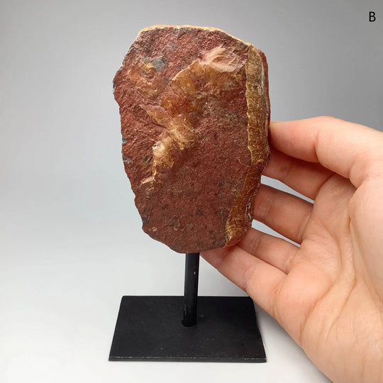 Rough Tiger Eye on Display Stand - Rocks and Gems Canada