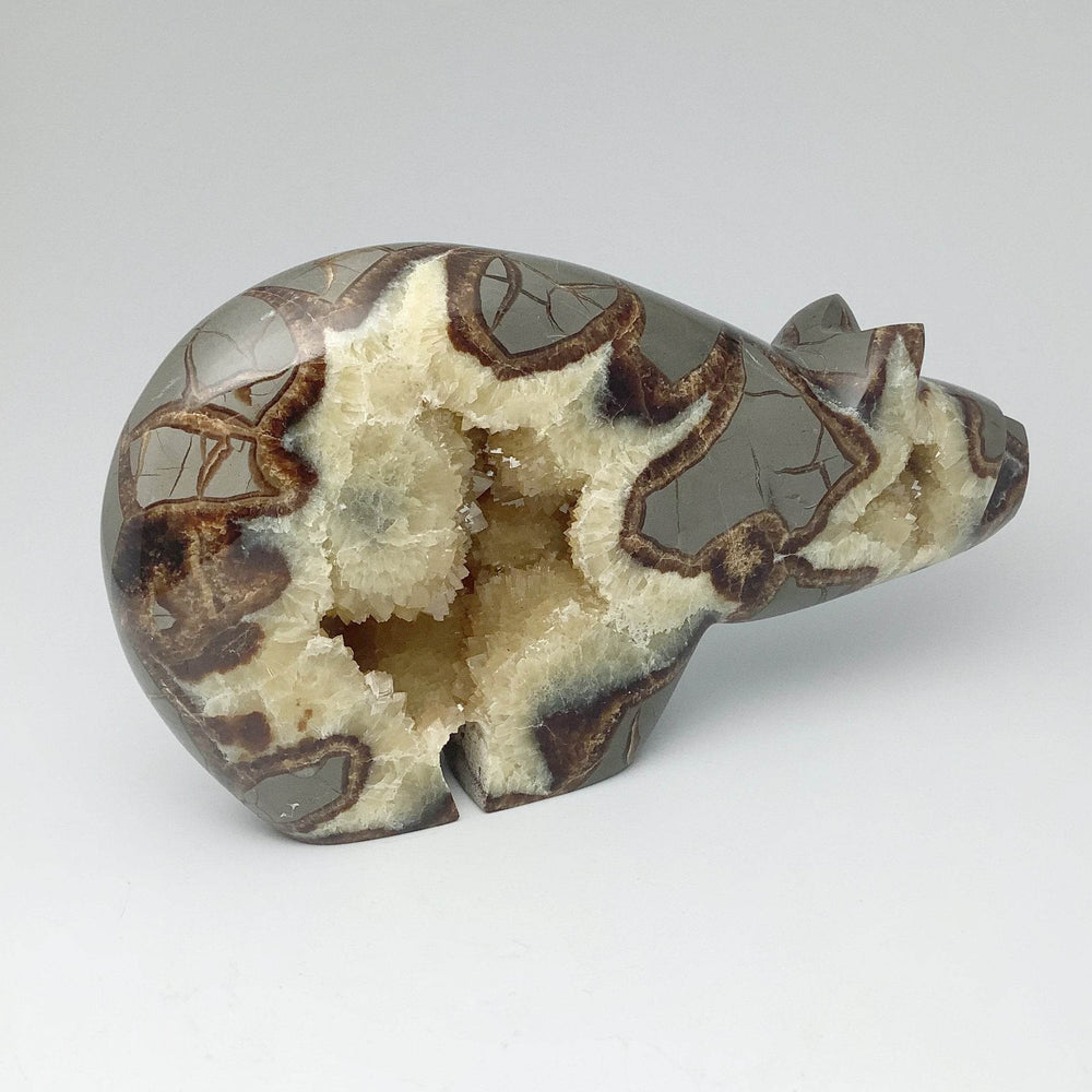 Septarian Bear Carving - Rocks and Gems Canada