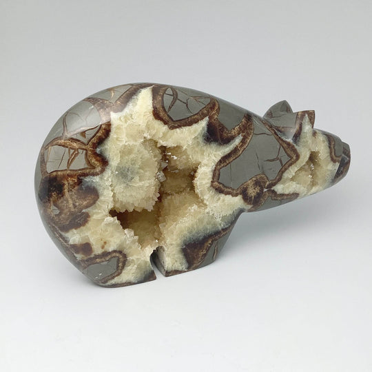 Septarian Bear Carving - Rocks and Gems Canada