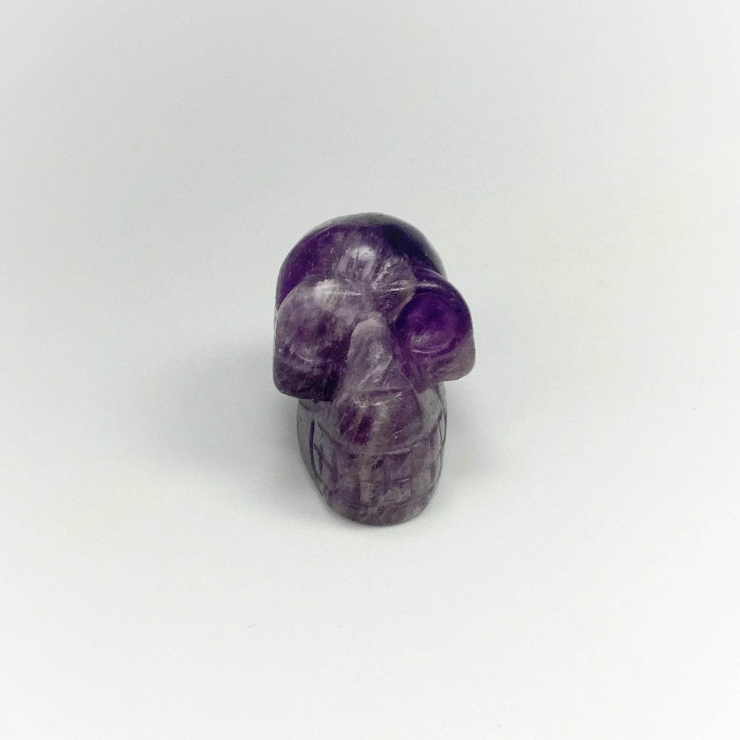 Carved Chevron Amethyst Skull - Rocks and Gems Canada