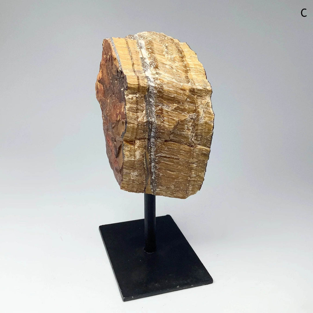 Rough Tiger Eye on Display Stand - Rocks and Gems Canada